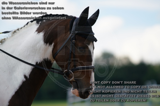 s_K3F04826.JPG